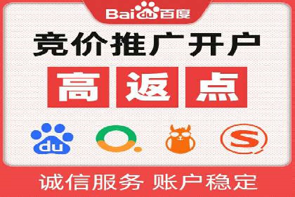 谷歌竞价广告在电商行业的运用案例